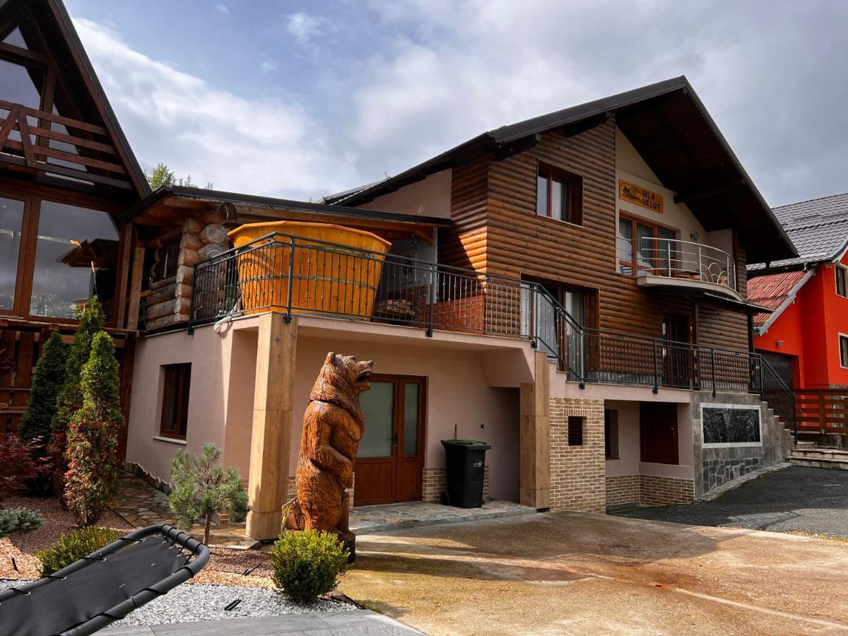 Vila Delut Borşa Екстериор снимка
