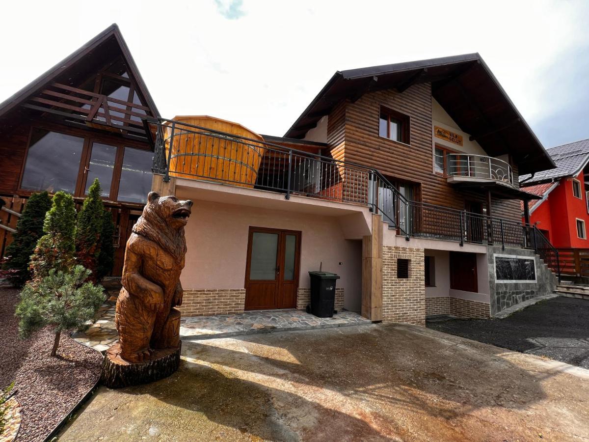 Vila Delut Borşa Екстериор снимка